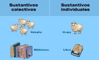 Sustantivos Colectivos e Individuales