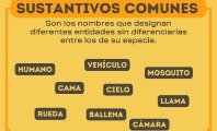 Sustantivos comunes